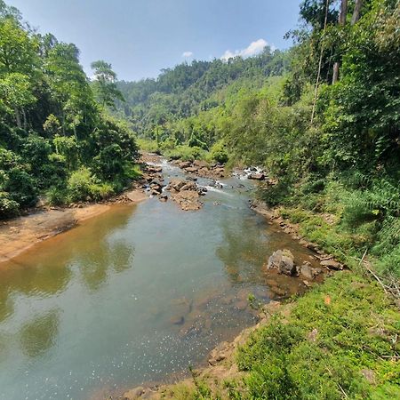 Rainforest River Bay Deniyaya Luaran gambar