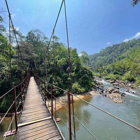Rainforest River Bay Deniyaya Luaran gambar