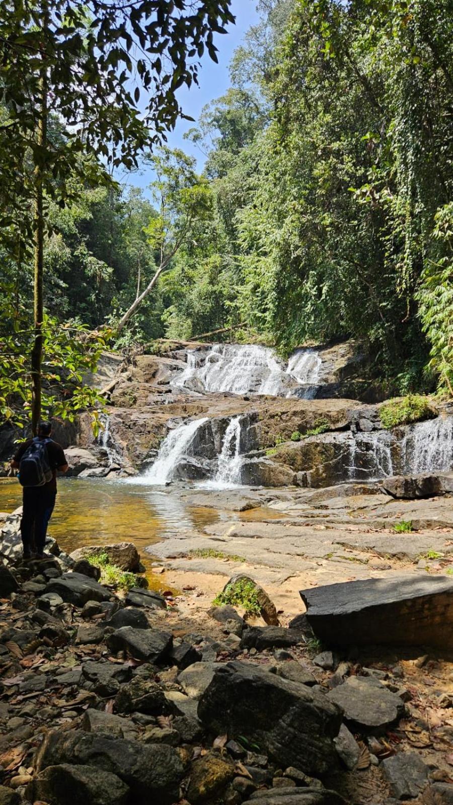 Rainforest River Bay Deniyaya Luaran gambar