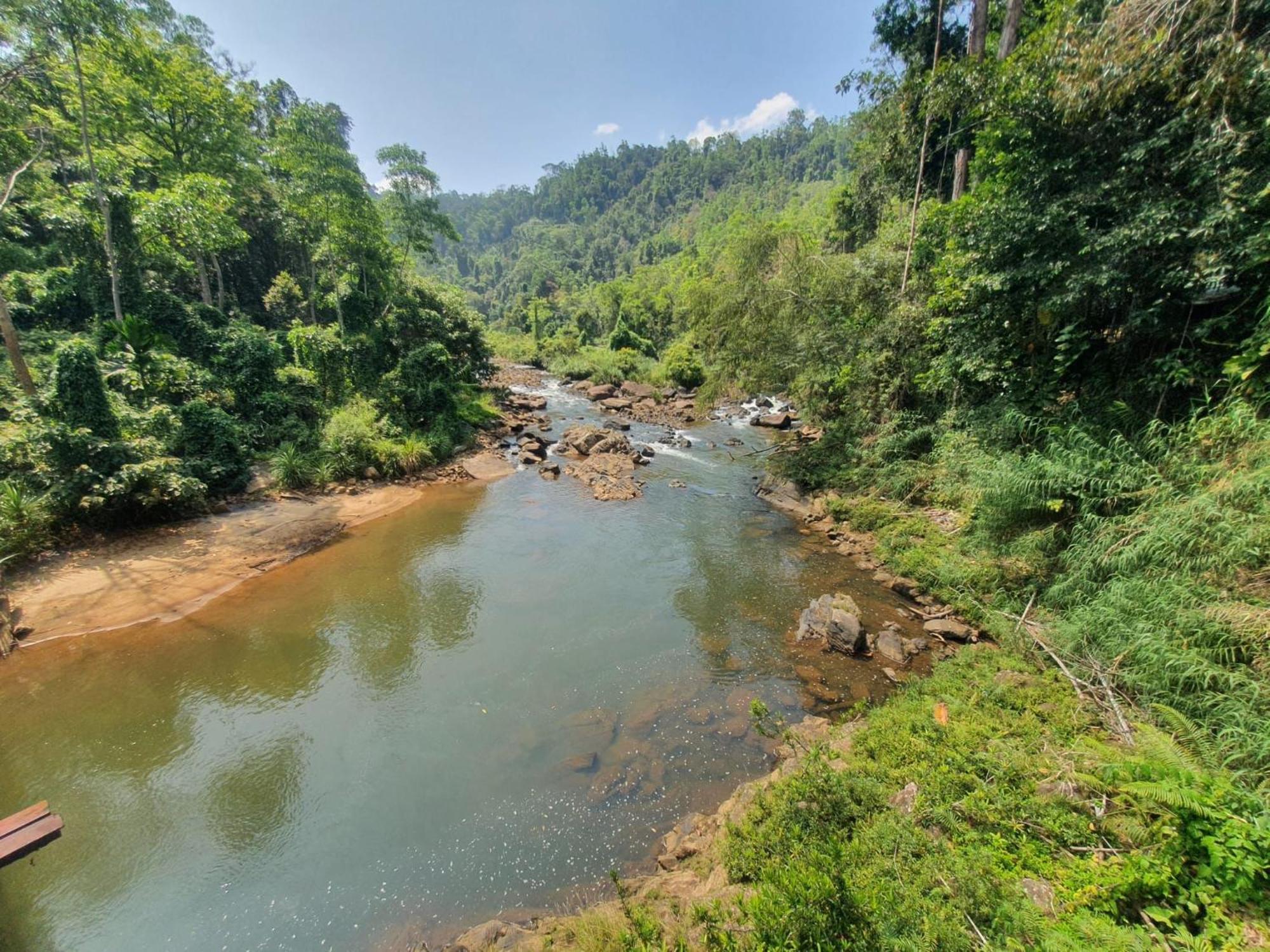Rainforest River Bay Deniyaya Luaran gambar