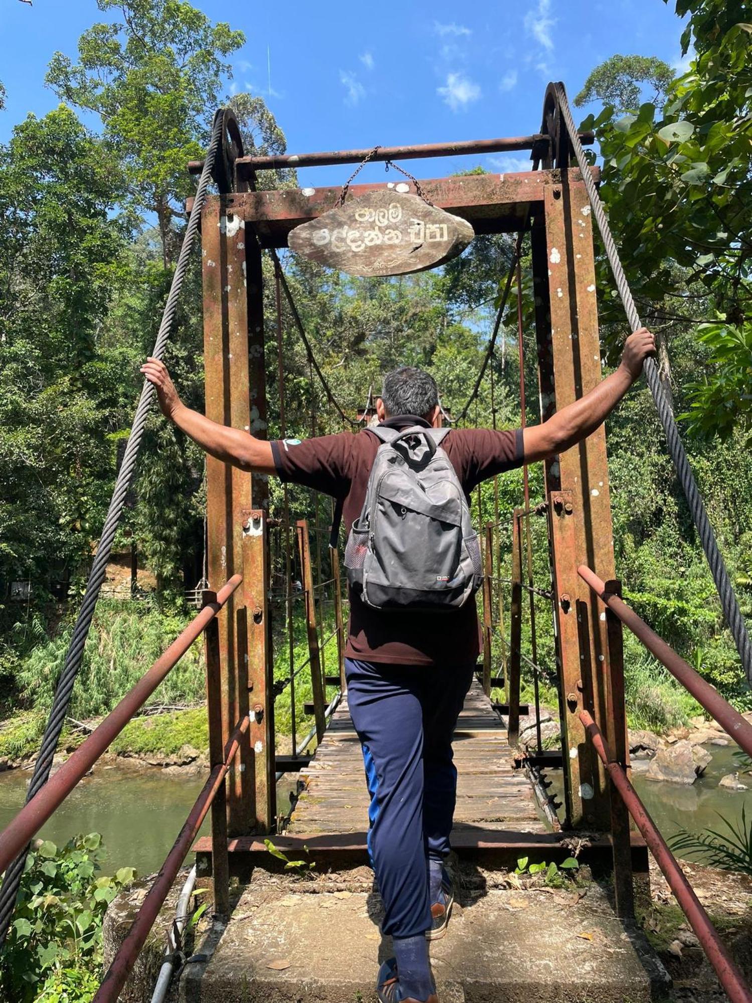 Rainforest River Bay Deniyaya Luaran gambar