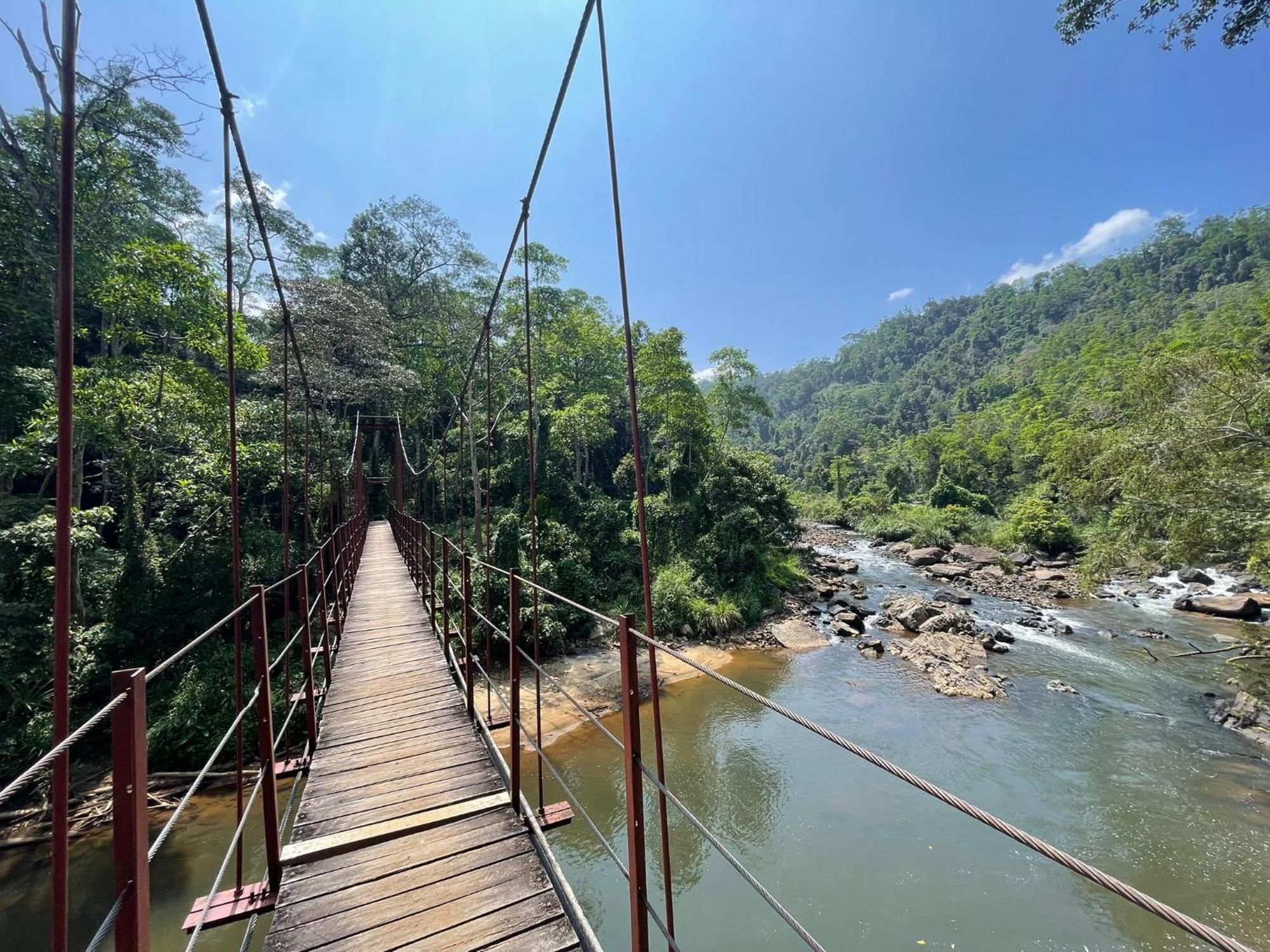Rainforest River Bay Deniyaya Luaran gambar